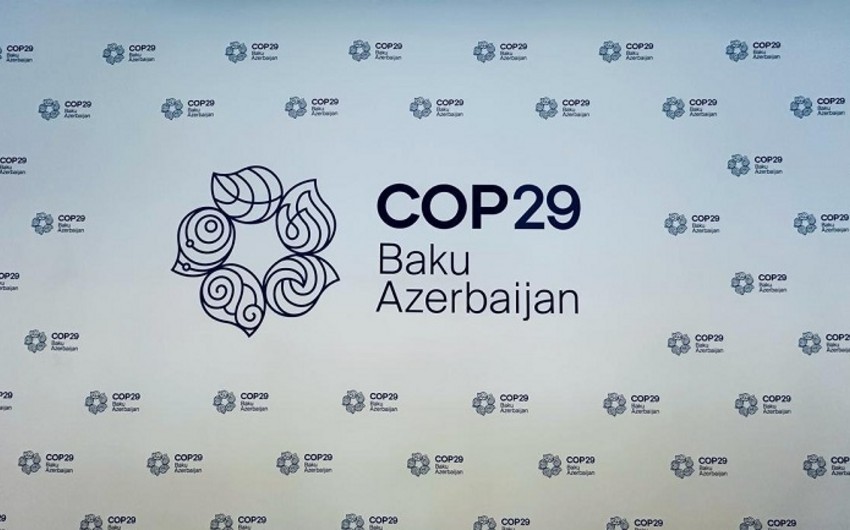 COP29 Sədrliyi bəyanat yaydı