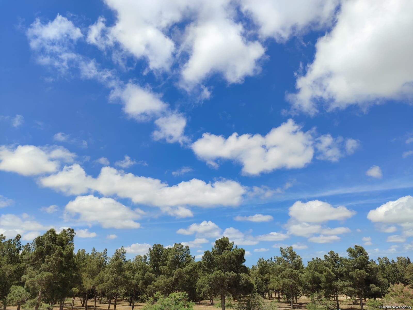 Hava şəraiti əsasən yağmursuz keçib