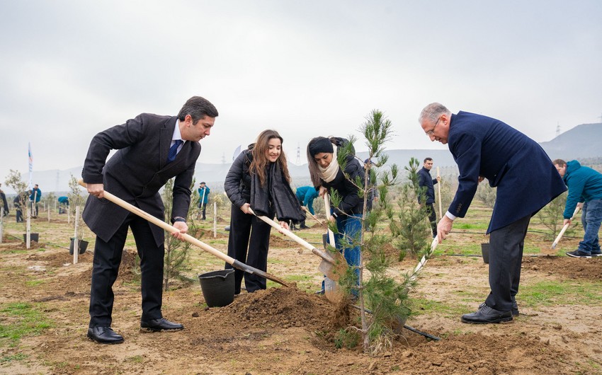 ETSN və Azərbaycanın COP komandası arasında ağacəkmə aksiyası