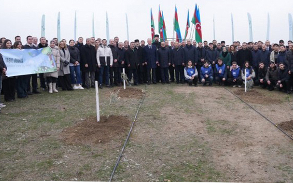 Dövlət Komitəsinin “Yaşıl gələcək naminə” aksiyasına yekun vurulub