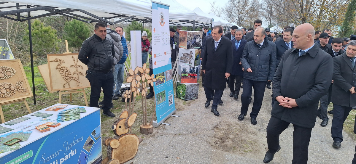 Qızılağac Milli Parkında II "Flaminqo festivalı" keçirilib