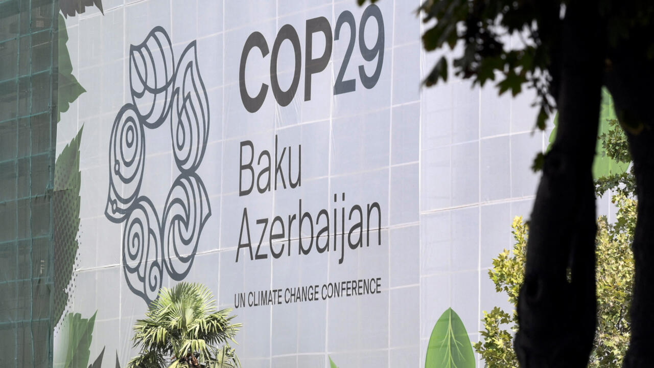 COP29 konfransından gözləntilər – EKSPERT RƏYİ