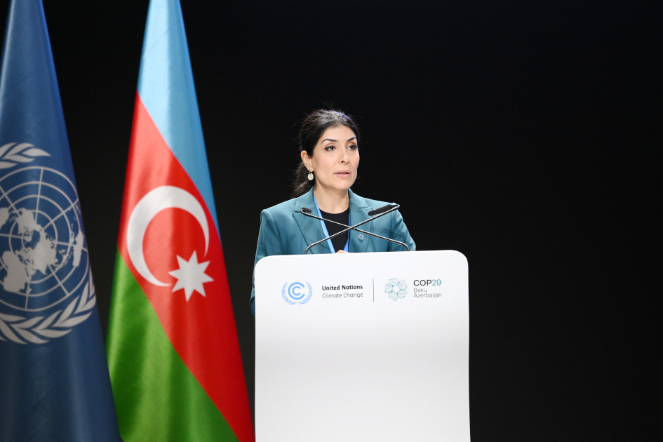 COP29-da iqlim mövzuları interaktiv formatda müzakirə olunub