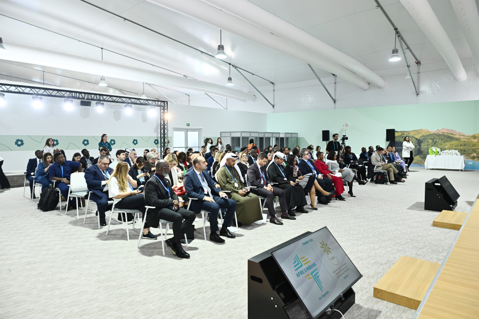 COP29 çərçivəsində “Afrika Dayanıqlı Ticarət Təşəbbüsü” ilə bağlı sessiya keçirilib