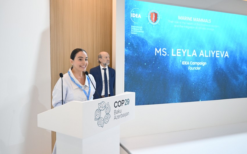 Leyla Əliyeva COP29-da panel müzakirələrində iştirak edib