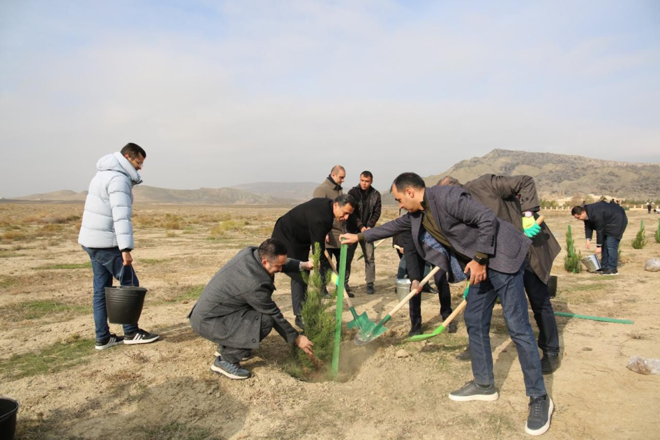 Mədəniyyət Nazirliyi yaşıllaşdırma aksiyası keçirib