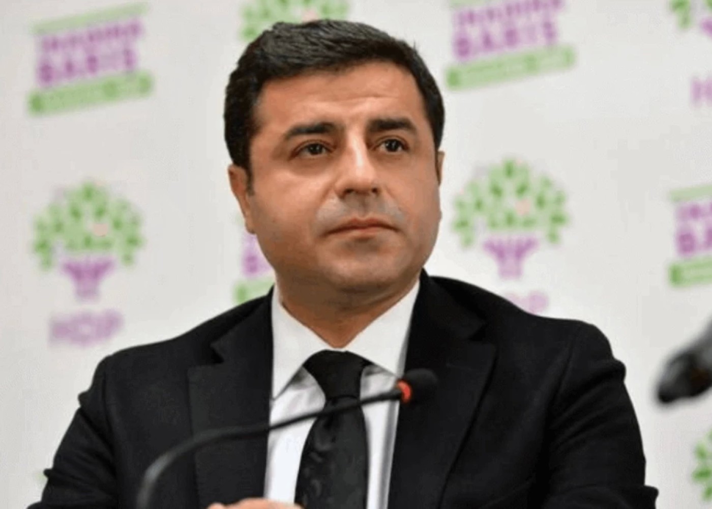 Səlahəddin Dəmirtaş: "Kürdlərin əksəriyyəti Türkiyənin yanındadır"