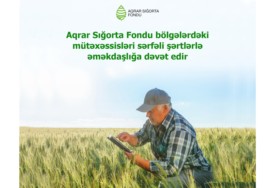 Aqrar Sığorta Fondu bölgələrdəki mütəxəssisləri sərfəli şərtlərlə əməkdaşlığa dəvət edir