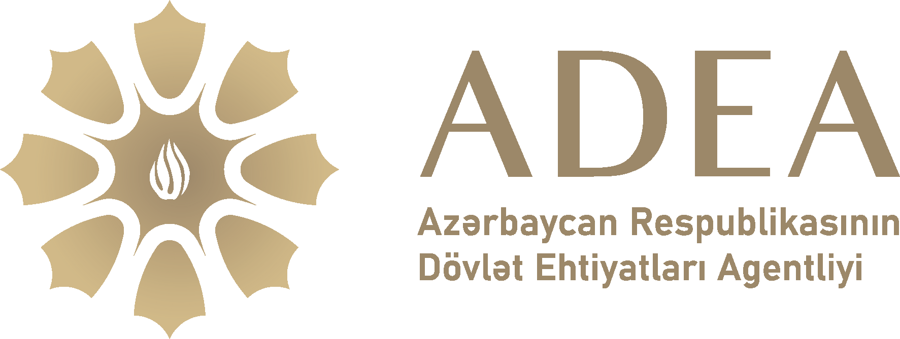 Dövlәt Ehtiyatları Agentliyi vergidәn yayınıb