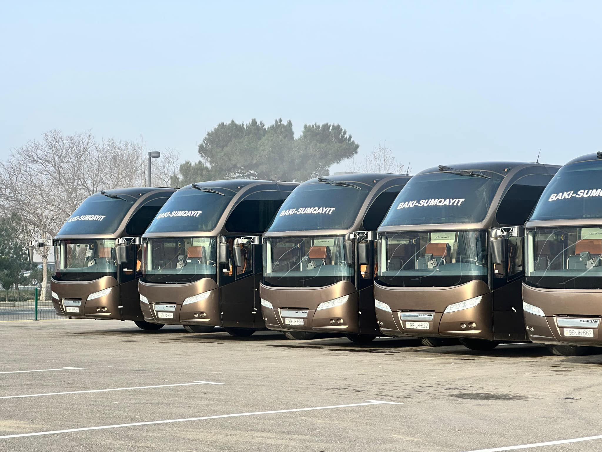 "BakuBus" noyabr-dekabrda 161 ədəd elektrik avtobusu istifadəyə verib