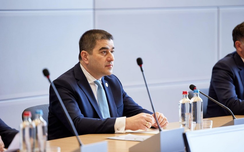 Avropadan Gürcüstana xərclənən hər bir sent yoxlanılmalı və ictimaiyyətə açıqlanmalıdır -