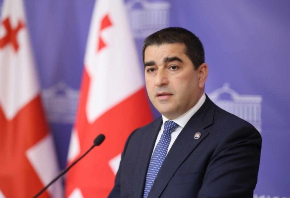 Gürcüstan Parlamentinin sədri USAID-i tənqid edir