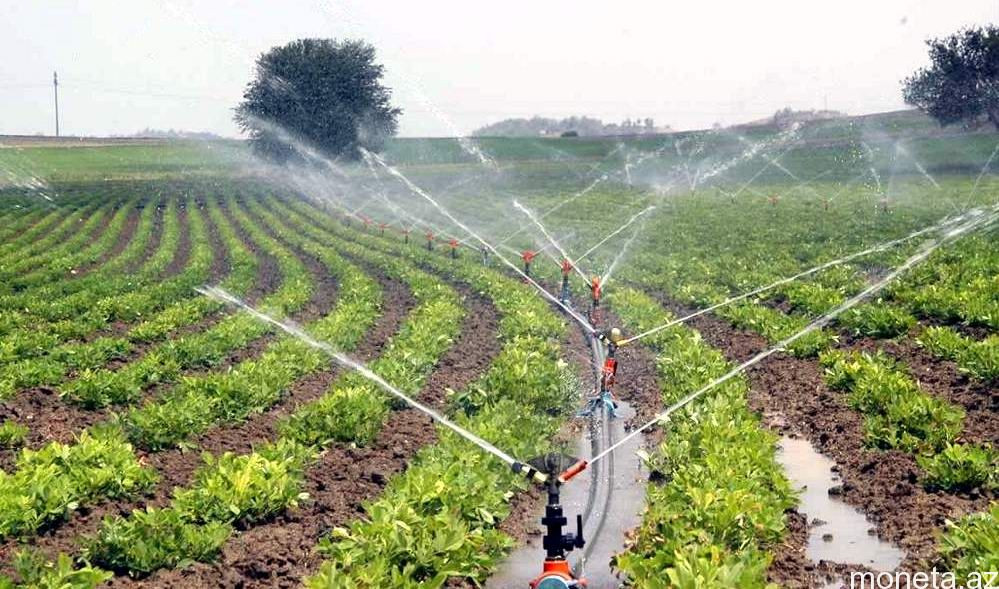 Su ehtiyatlarının azalması kənd təsərrüfatına ciddi təsir edir