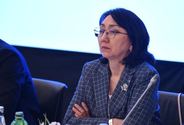 Gülbara Sultanova: "QHT-lər qlobal problemlərin həllində açar rol oynayır"