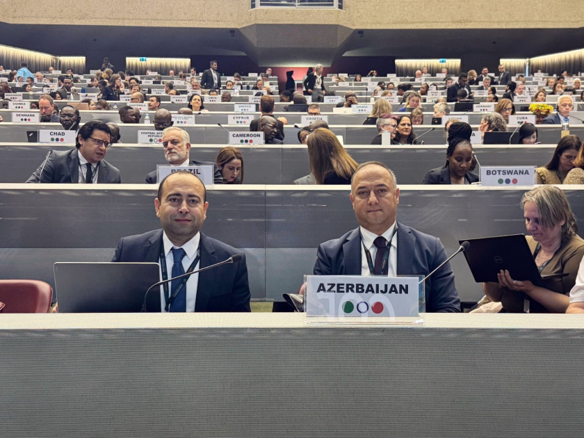 Azərbaycan Stokholm və Bazel Konvensiyaları üzrə konfranslarda iştirak edib