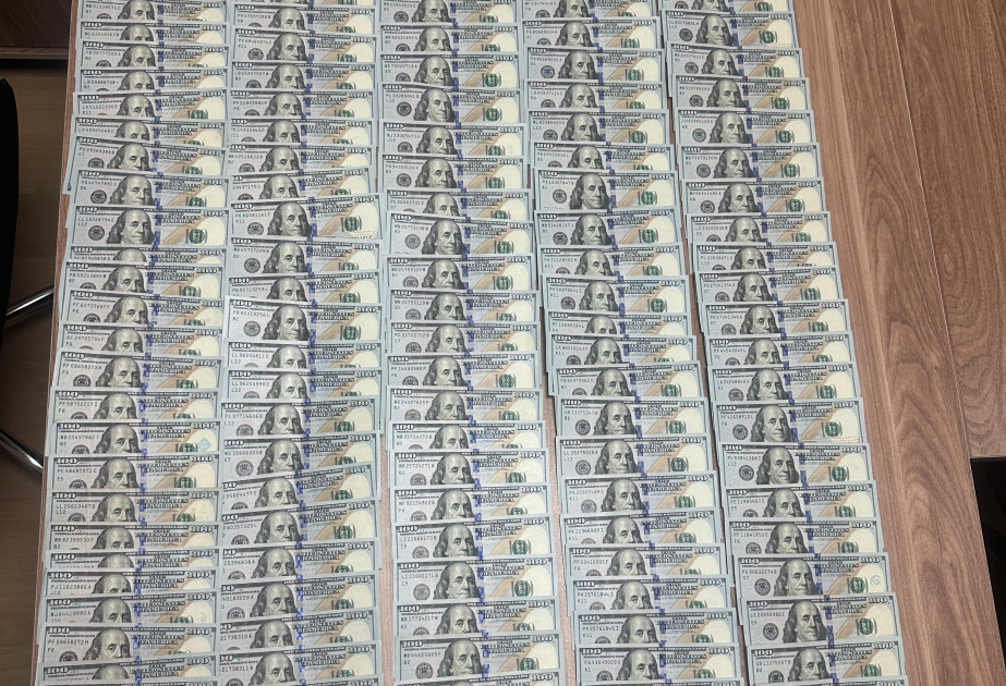Naxçıvanda evdən 22 min dollar oğurlayan şəxslər saxlanılıblar