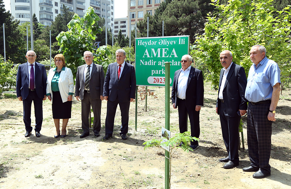 AMEA-da təmizlik və yaşıllaşdırma günləri davam edir