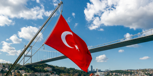 Ərdoğanın müavini Türkiyənin Türk dünyası ilə əlaqələrindən danışıb