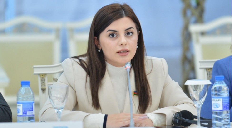 “Prezident İlham Əliyevin  rəhbərliyi altında çoxşaxəli xarici siyasət strategiyası gerçəkləşdirilir"-
