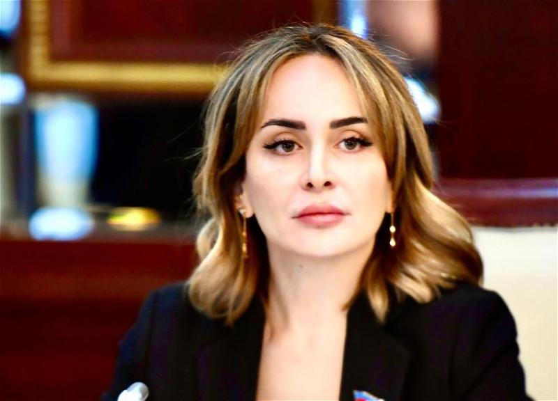 “Azərbaycan beynəlxalq siyasi gündəmin müzakirə edildiyi platformalarda əsas iştirakçıya çevrilib”