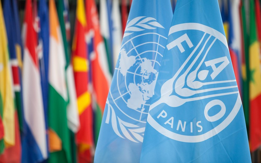 Azərbaycanın Biomüxtəlifliyi Təhlükə Altındadır: FAO Ekoloji Mühafizə Təşəbbüslərini Açıqladı