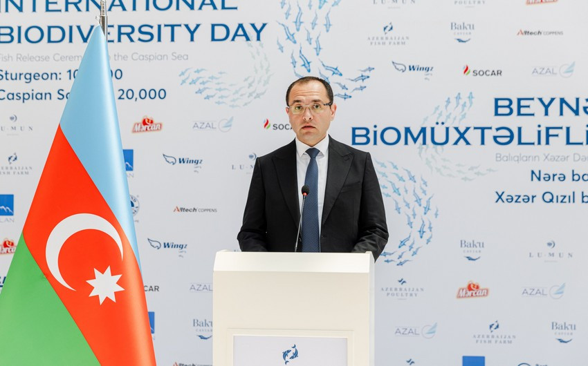 Nazir: “Balıq ehtiyatlarının qorunması ekoloji və iqtisadi dayanıqlığın təminatıdır”