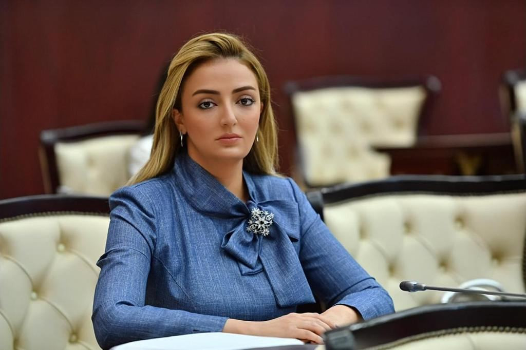 “İndiki mürəkkəb geosiyasi vəziyyətdə TDT çərçivəsində əməkdaşlıq vacibdir”