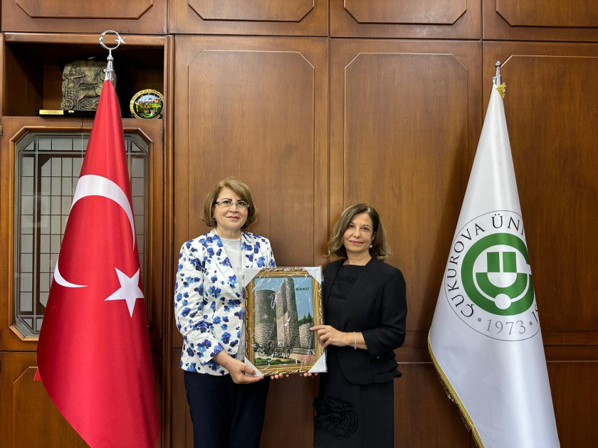 Adanada Türkiyə ilə Azərbaycan arasında təhsil sahəsində əməkdaşlığın dərinləşdirilməsi yolları müzakirə olunub