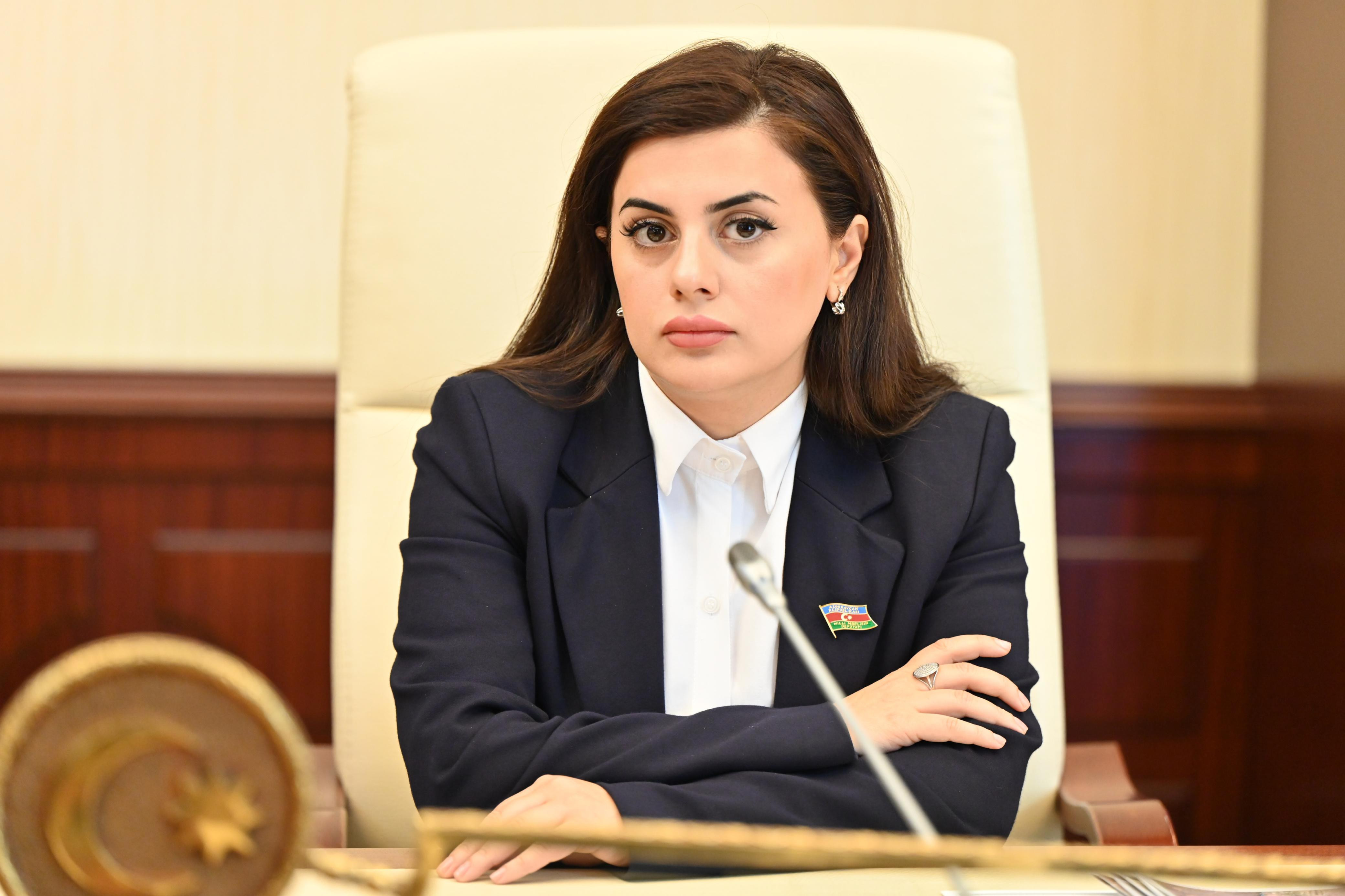 “23 ay qısa müddət olsa da, bu dövrdə Cümhuriyyət mühüm nailiyyətlərə imza atmışdır”-