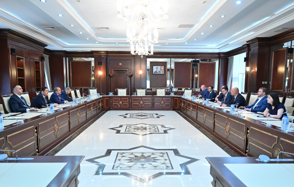 Ukrayna Ali Radasının Azərbaycanla dostluq qrupunun üzvləri ilə görüş olub