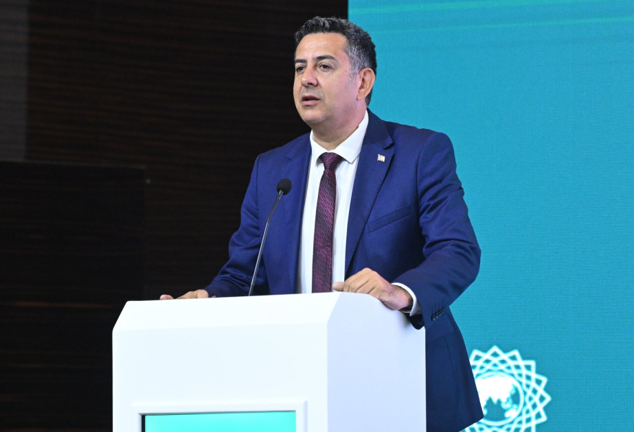 Kipr Türk Cümhuriyyəti İslam Əməkdaşlıq Təşkilatına üzv qəbul edilsin -