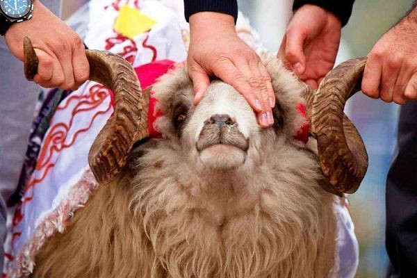Qurban təslimiyyətin ifadəsidir -