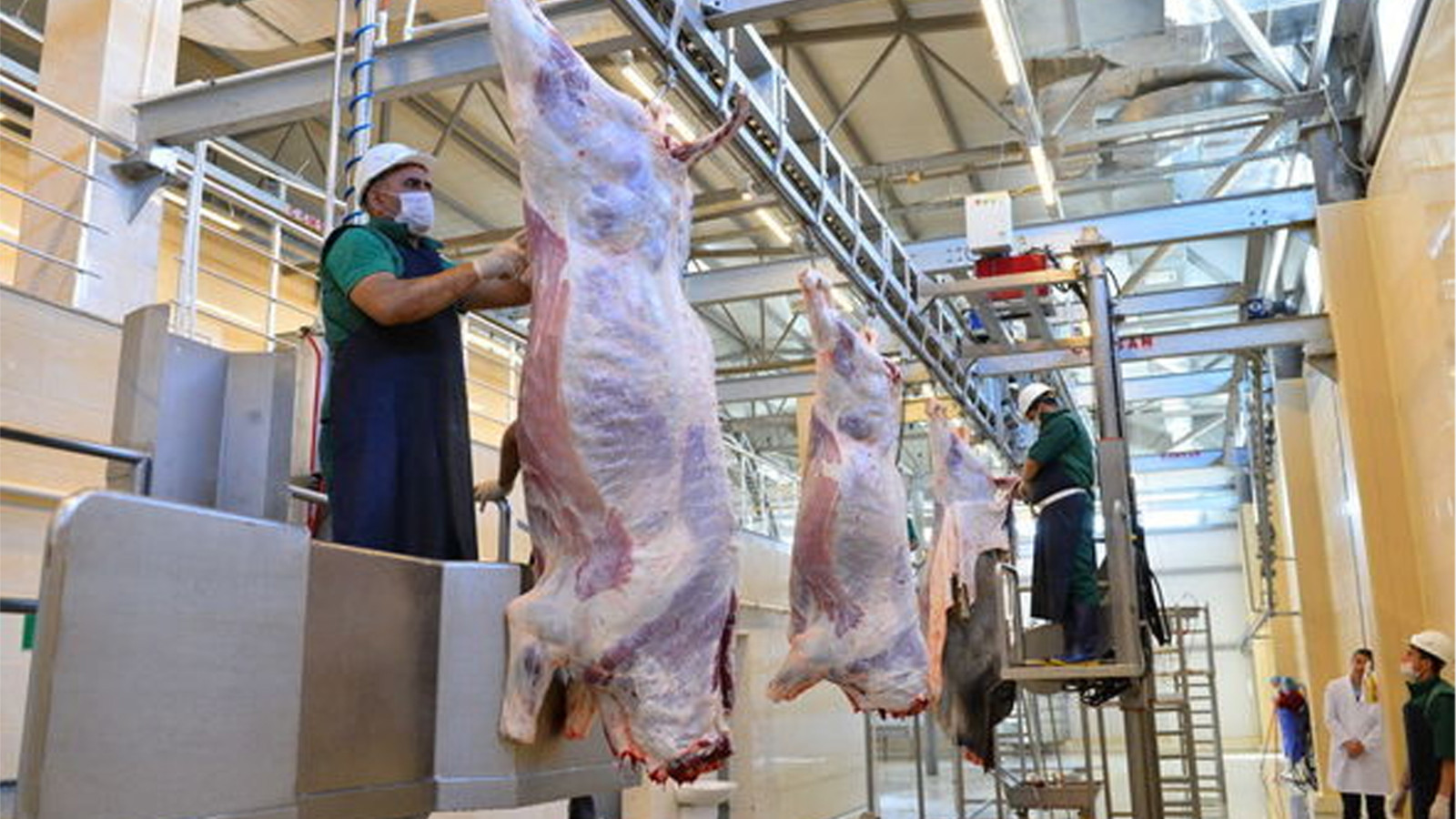 Qurbanlıq heyvanların satışı və kəsimi xidmətləri göstəriləcək ünvanlar açıqlanıb