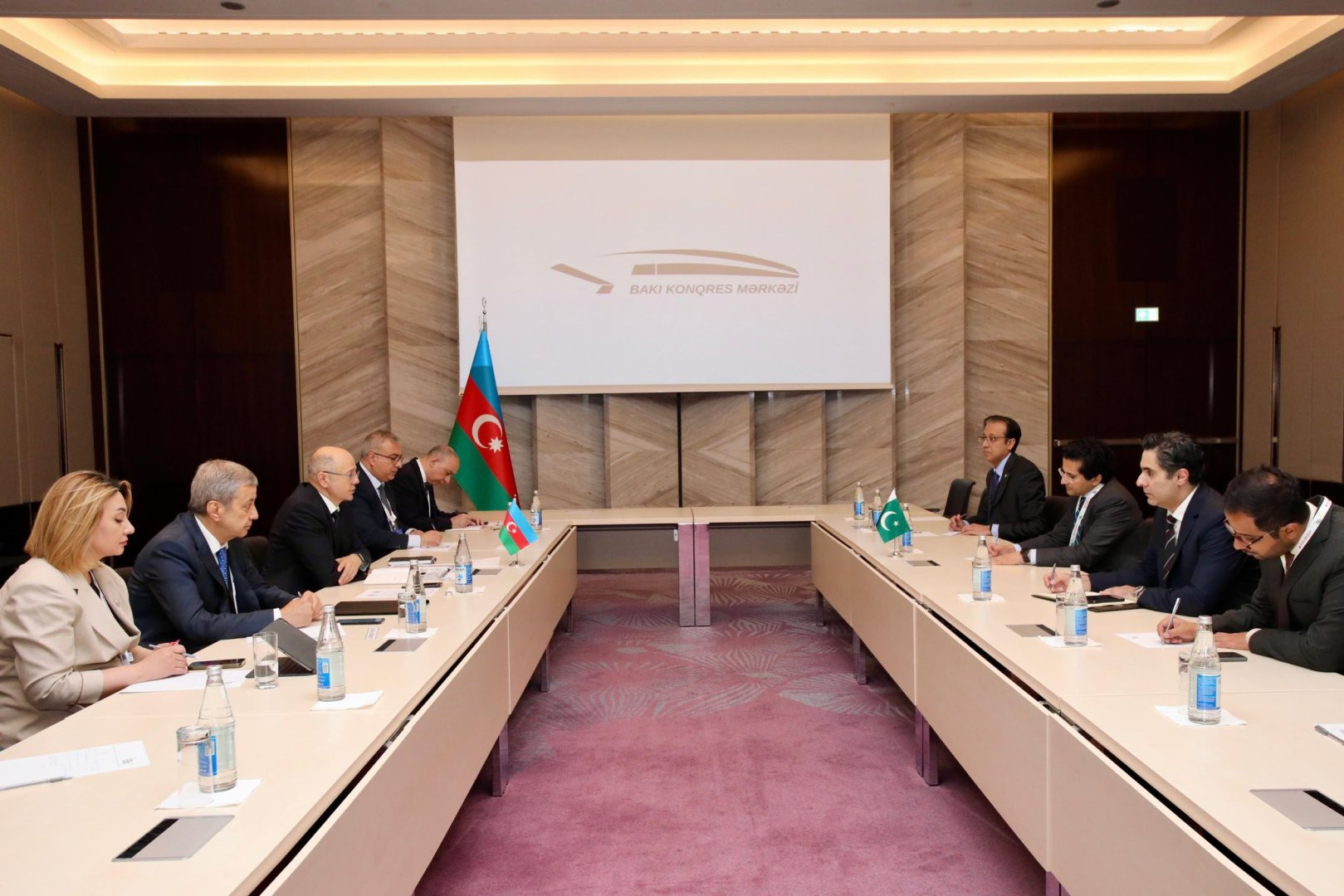 Azərbaycanla Pakistan arasında enerji sahəsində əməkdaşlıq perspektivləri müzakirə edilib
