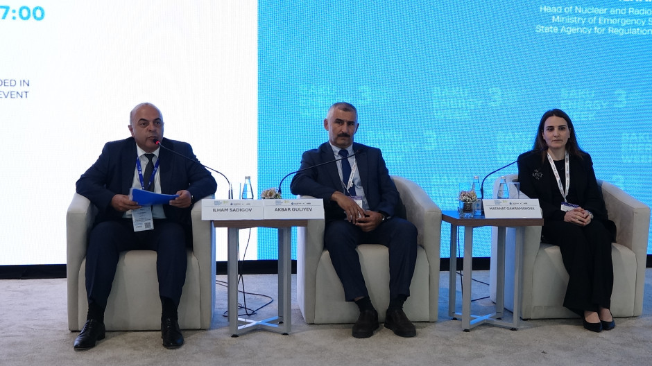 FHN-in nümayəndələri Bakı Ekspo Mərkəzində təşkil olunan panel sessiyasında iştirak ediblər