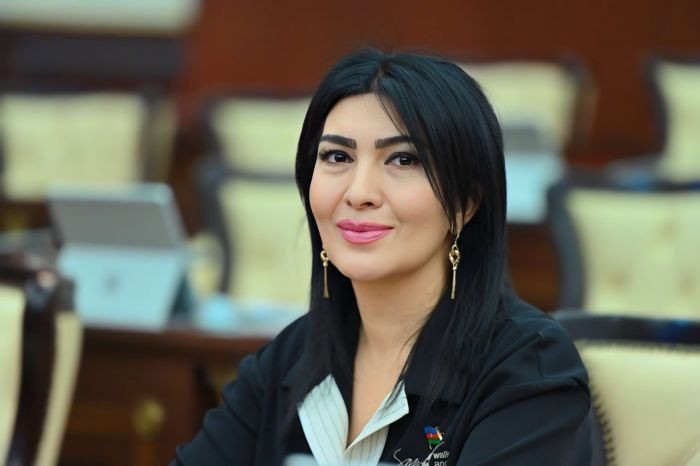 "Azərbaycanın Keniyada səfirlik açması Afrika ilə münasibətlərin dərinləşməsinə xidmət edir" -