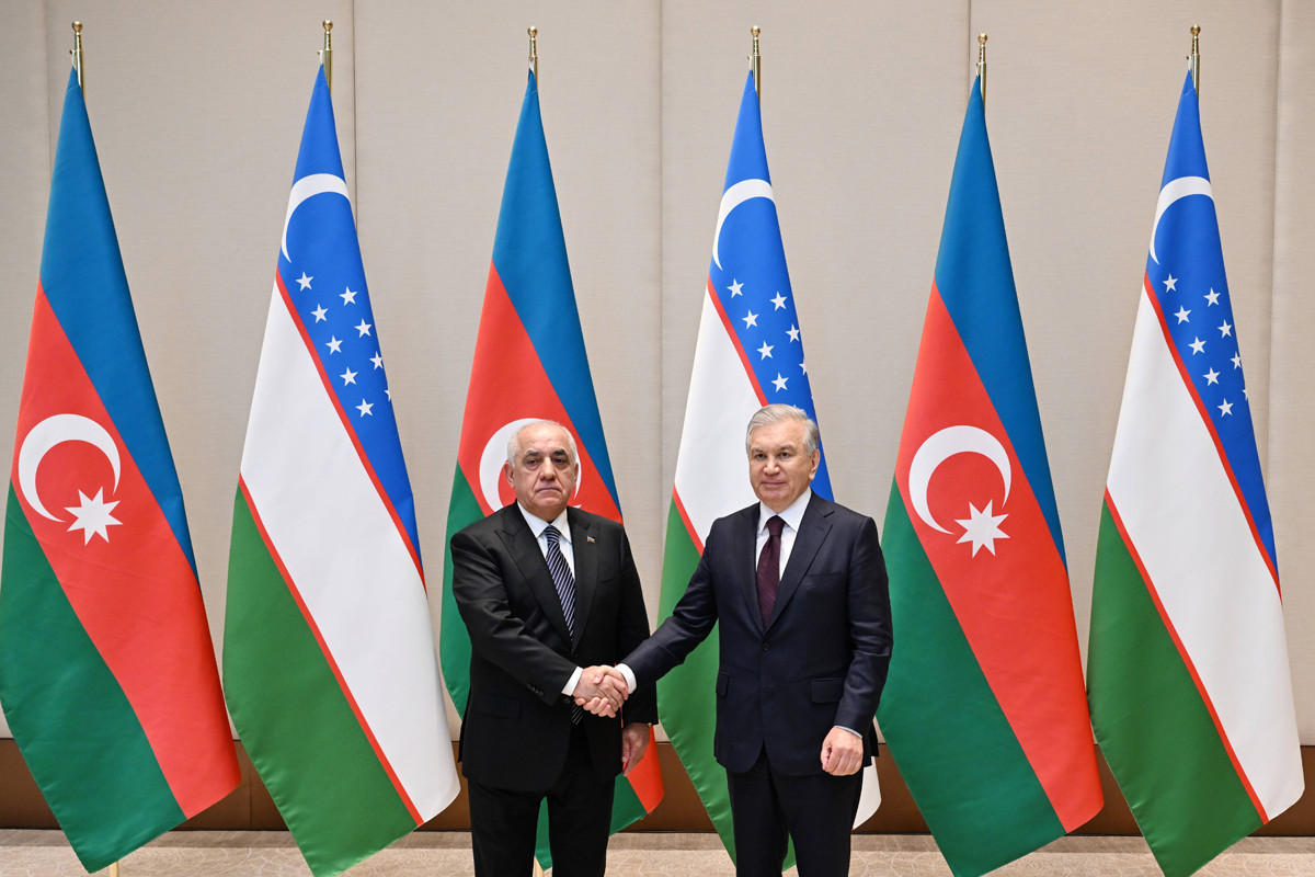 Əli Əsədov Özbəkistan Prezidenti ilə görüşüb