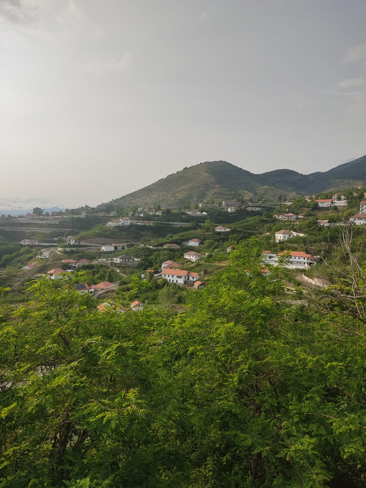 LAÇIN – BİZ SUSAQ TƏBİƏT DANIŞSIN!!!