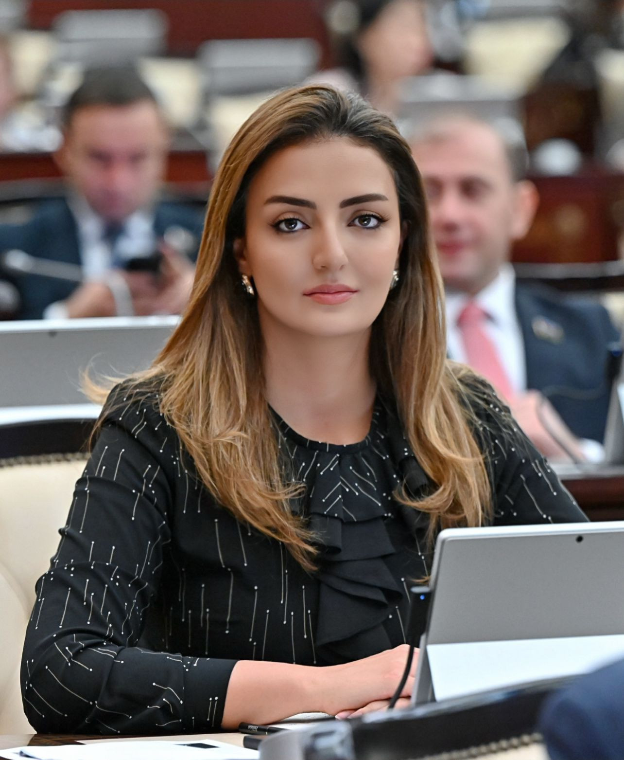 "Azərbaycan qazı yeni mənbə kimi qlobal enerji təhlükəsizliyinin bir hissəsinə çevrilib" -
