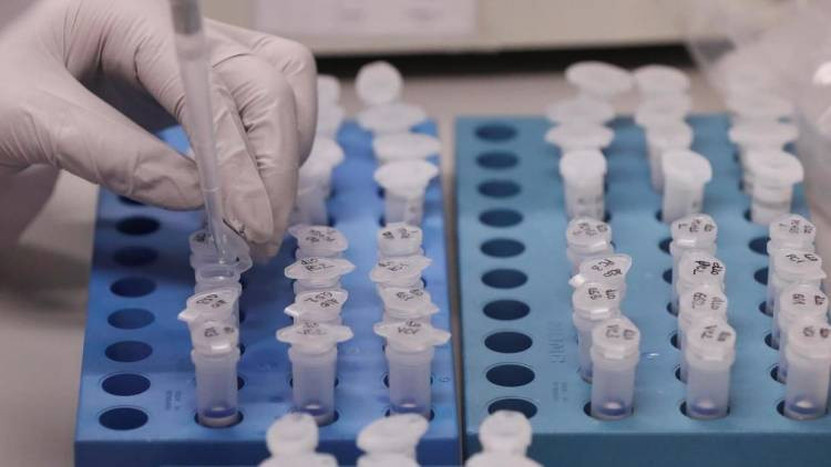 Çində yeni virus aşkarlanıb