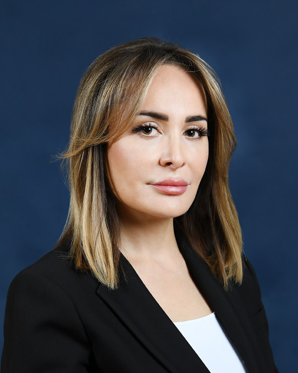 "Beynəlxalq enerji investorları üçün Azərbaycan sabit məkan kimi cəlbedicidir"