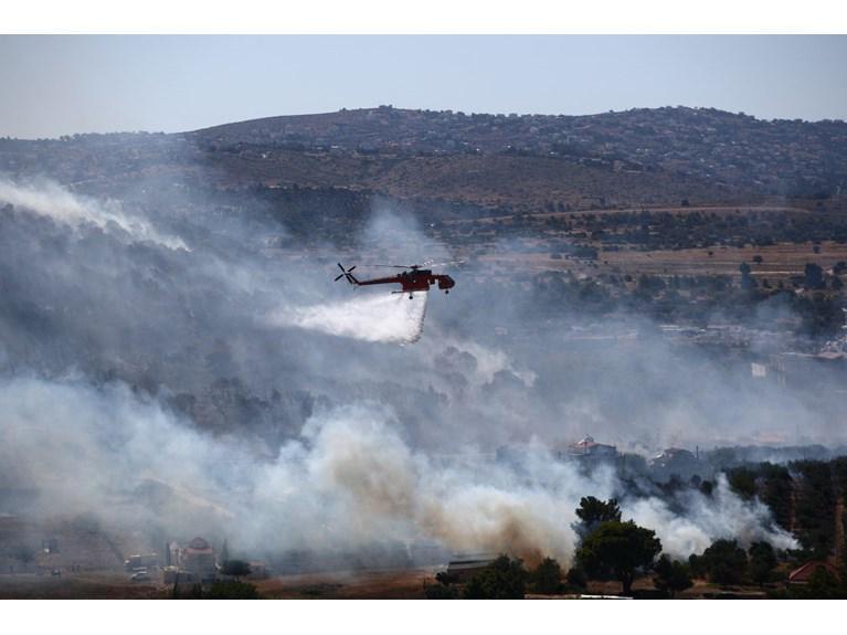 Zeytun bağları kül oldu: Yunanıstanın istirahət cənnəti alovlara təslim oldu-