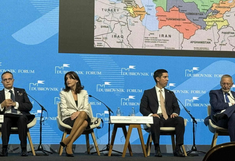 Maka Boçorişvili: Azərbaycan, Türkiyə və Gürcüstan regionun inkişafında mühüm rol oynayırlar