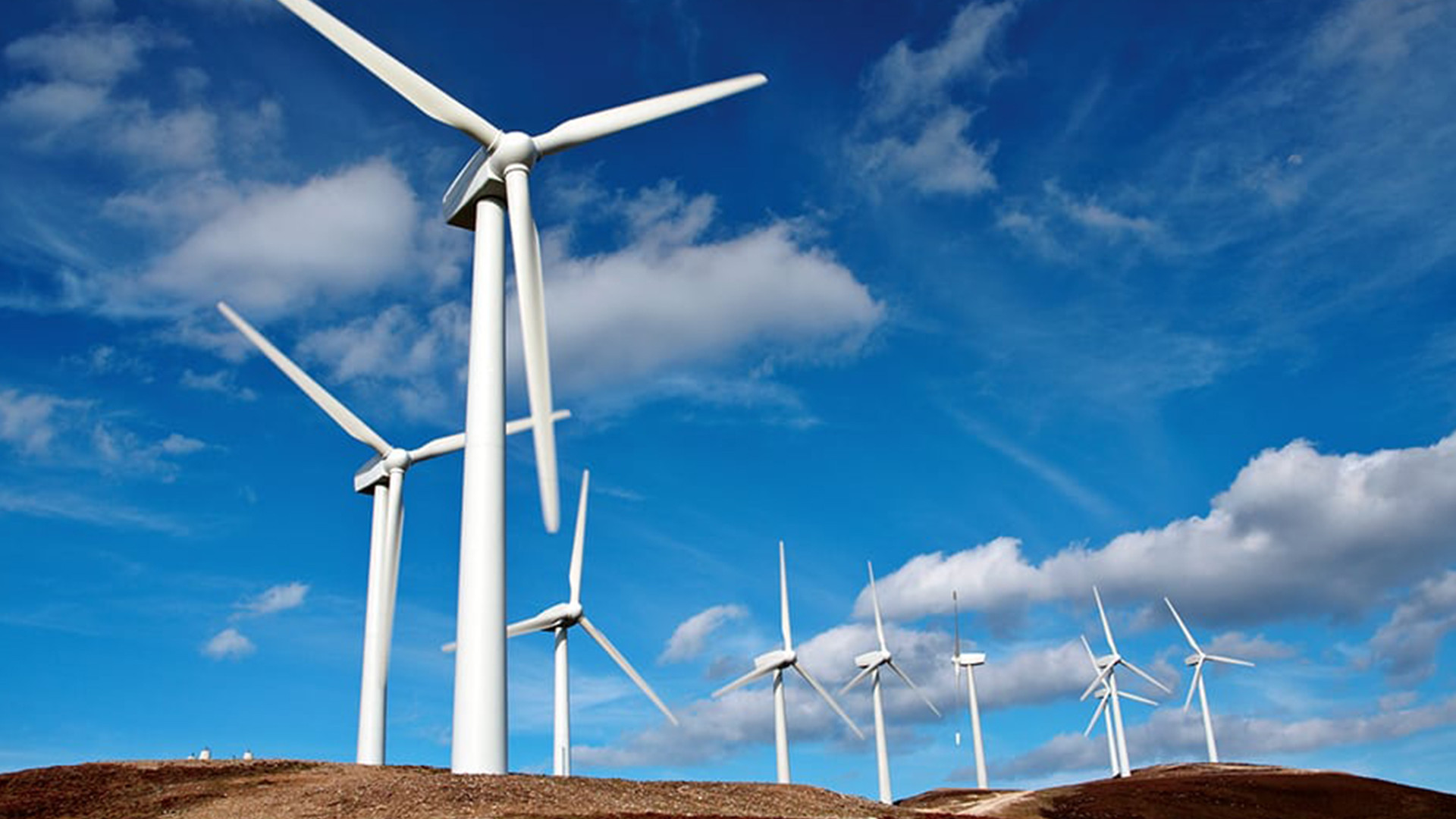 Birinci yarımildə külək elektrik stansiyalarında enerji istehsalı 27% azalıb