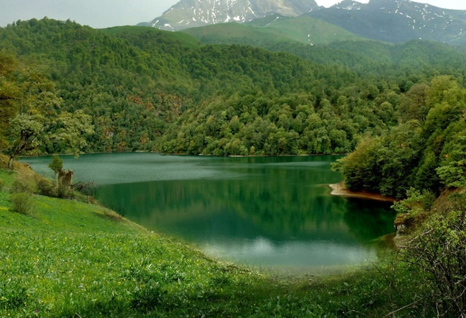 Yeni milli parkların yaradılması ilə qorunan təbiət ərazilərinin sahəsi genişləndirilib