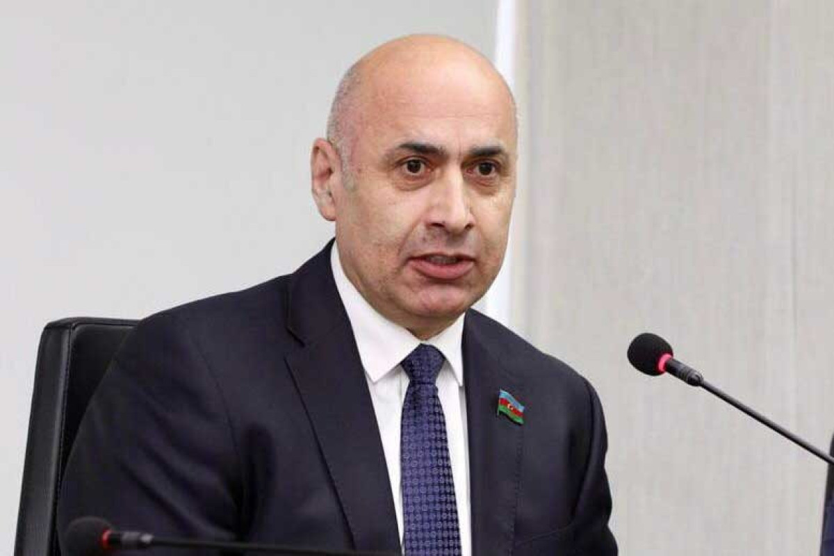 “Bu əsassız çağırışlar regionumuzda sülhə mane ola bilməz” -