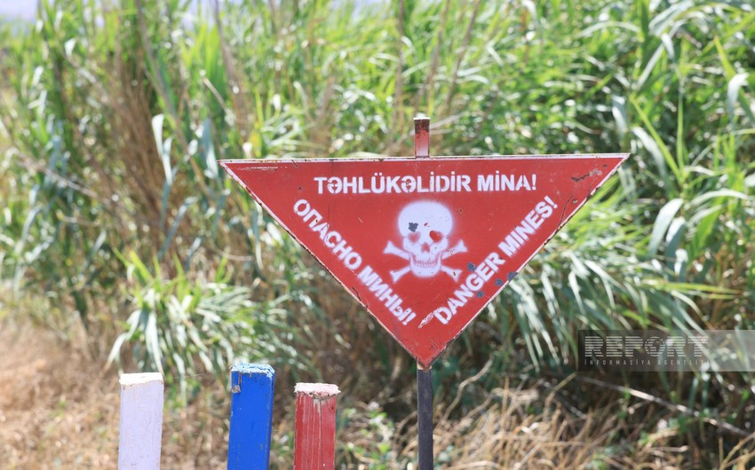 Ötən həftə 1600 hektardan çox ərazi minalardan təmizlənib