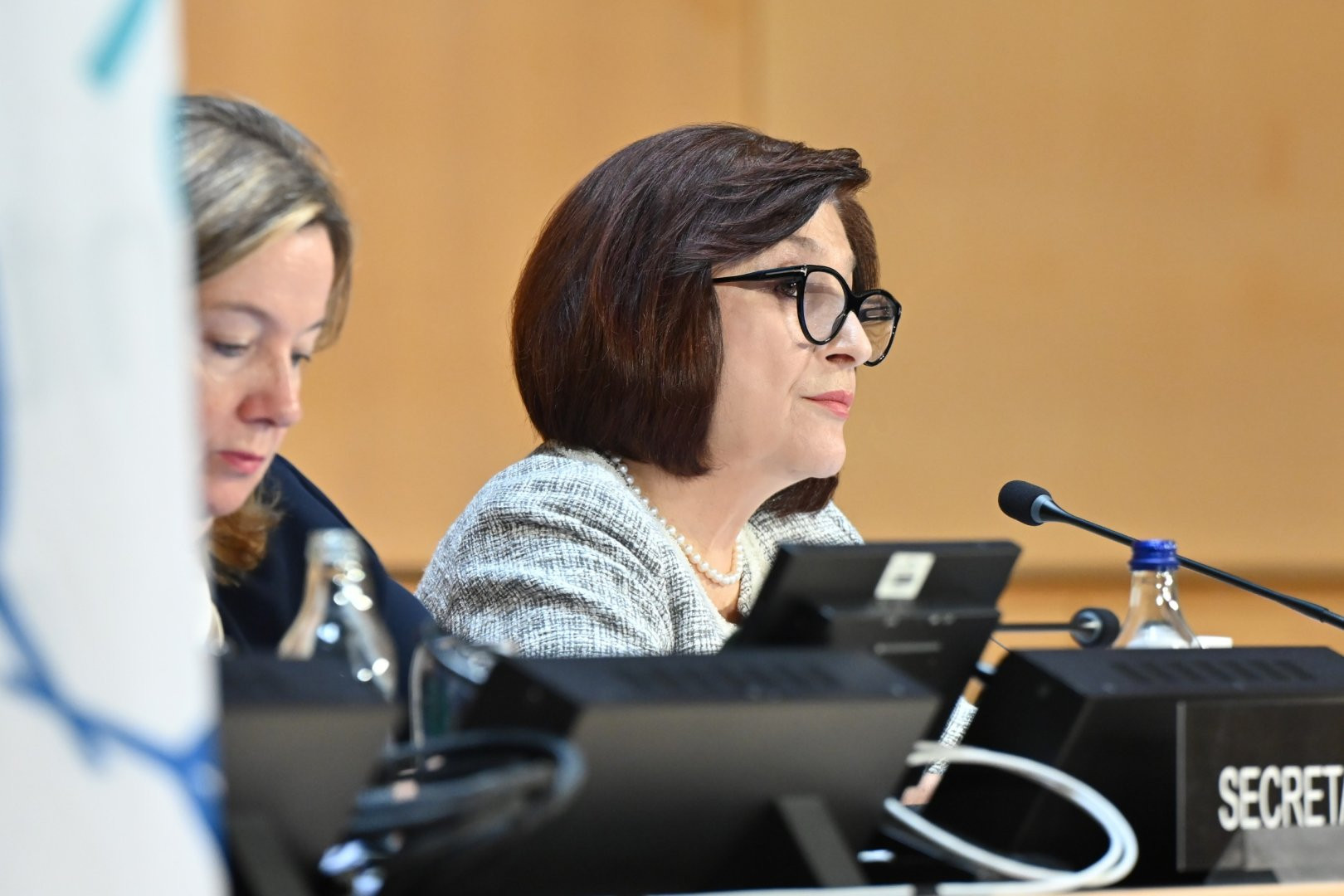 İyulun 30-da Milli Məclisin sədri Sahibə Qafarova Parlament Sədrlərinin VI Dünya Konfransı çərçivəsində - “2030-cu ilədək Dayanıqlı İnkişaf Məqsədlərinə (DİM) nail olmaq: Beynəlxalq əməkdaşlıq üçün hansı yeni imkanlar mövcuddur?” mövzusunda keçirilən panel müzakirəsində çıxış edib.