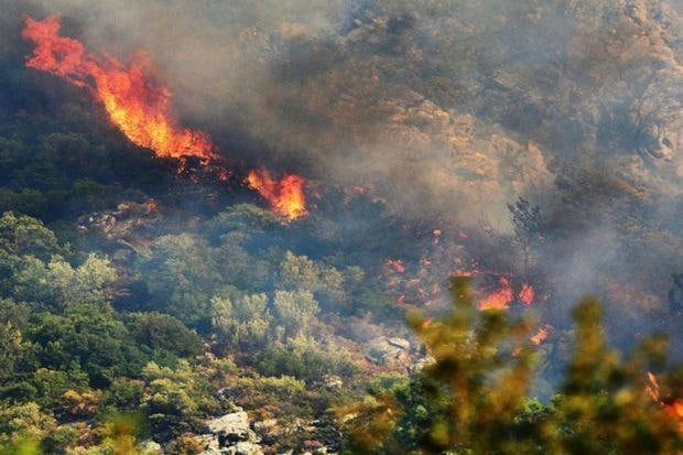 Laçının Güləbird kəndində mürəkkəb relyefli dağlıq ərazidə yanğın olub