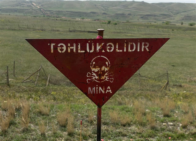 Ötən ay 7 min hektardan çox ərazi minalardan təmizlənib